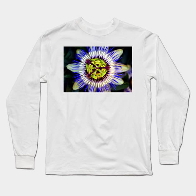 Passion Flower Summer Flowering Plant Long Sleeve T-Shirt by AndyEvansPhotos